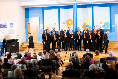 JSKD OBMOČNA REVIJA PEVSKIH ZASEDB OBČIN POSTOJNA IN PIVKA 1.2.2026 - Luka Gavranič-3912